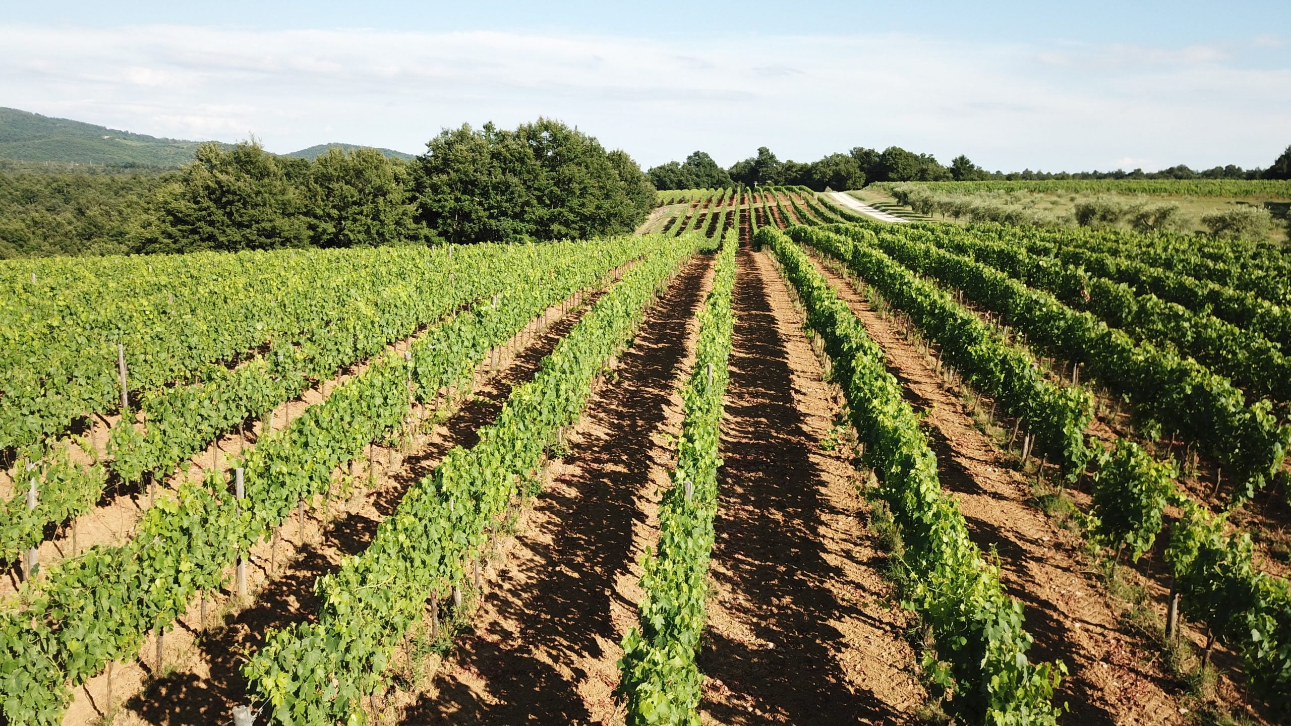 tenuta pomario